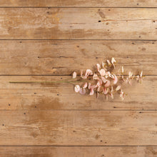 Load image into Gallery viewer, 33&quot; Pink Eucalyptus Spray
