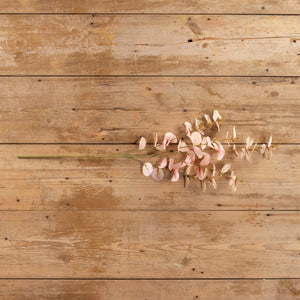 33" Pink Eucalyptus Spray