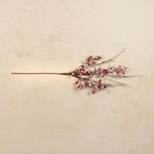 Load image into Gallery viewer, Frosted Red Berry Pick
