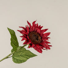 Load image into Gallery viewer, 29" Burgundy Sunflower Stem
