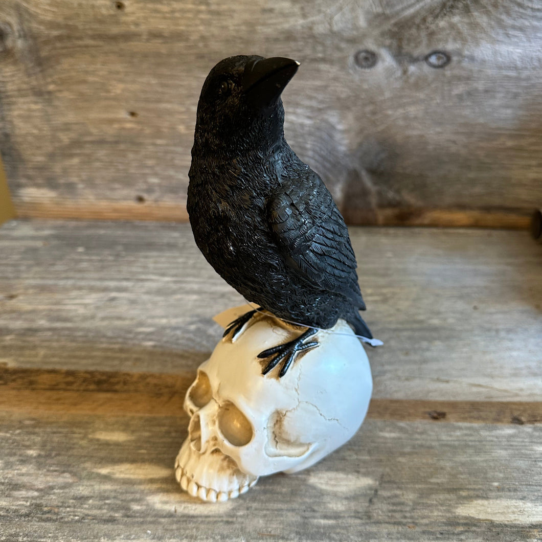 Raven on Skull