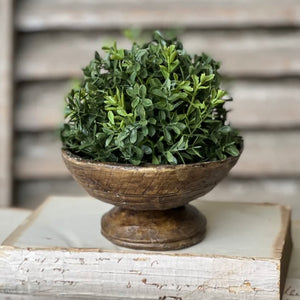 Boxwood Half Sphere