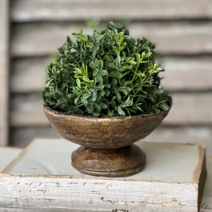Boxwood Half Sphere