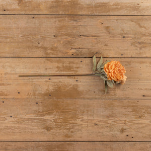 Orange Rose Spray