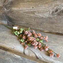 Load image into Gallery viewer, Petticoat Blooms
