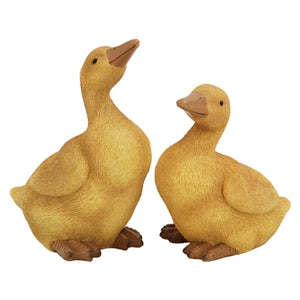 Resin Ducks