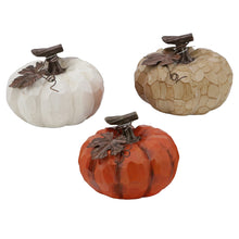 Load image into Gallery viewer, Tan, Orange and White Pumpkins

