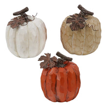 Load image into Gallery viewer, Tan, Orange and White Pumpkins
