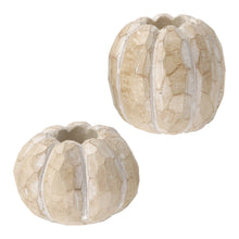 Load image into Gallery viewer, Pumpkin Taper Holders, Tan and Orange
