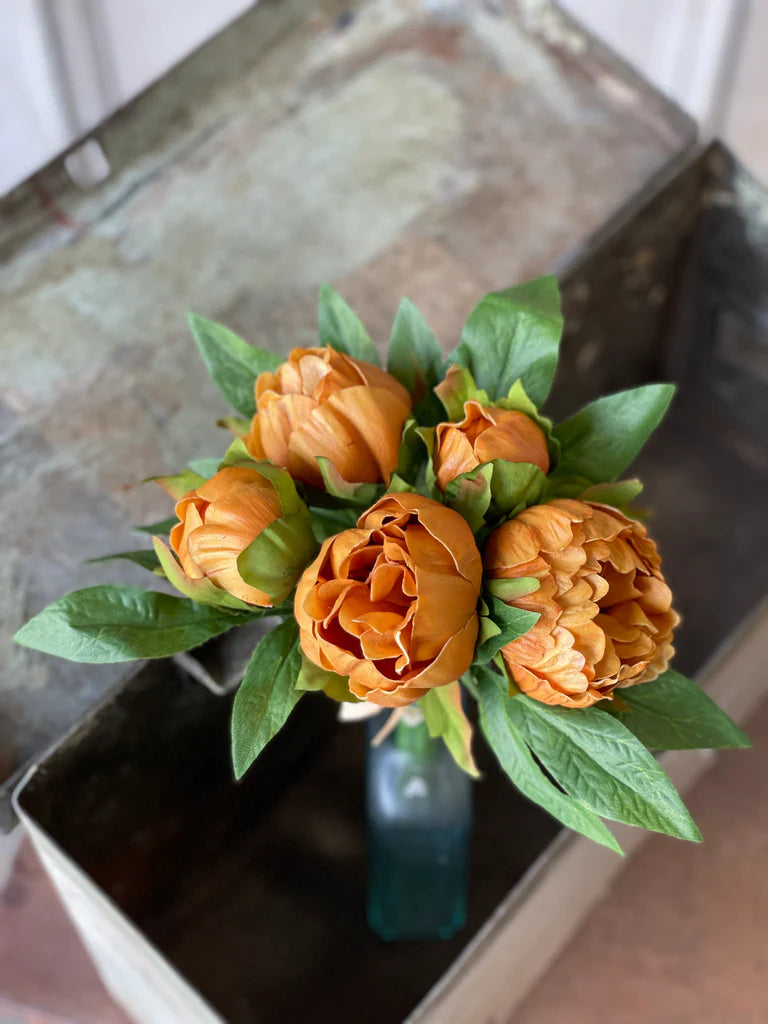 Saffron Peonies