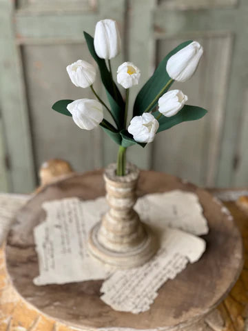 Triumph Tulip Bundle