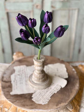 Load image into Gallery viewer, Triumph Tulip Bundle
