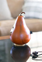 Load image into Gallery viewer, Rowan - Lit Jack-O-Lantern Pumpkin Gourd
