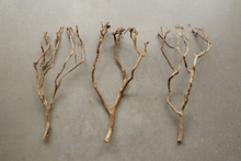Load image into Gallery viewer, Natural Tea Tree Branch
