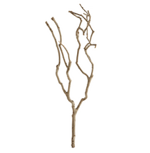 Load image into Gallery viewer, Natural Tea Tree Branch
