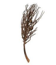 Load image into Gallery viewer, Dried Natural Coconut Palm Branch
