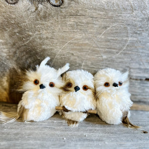 White Snow Owl Ornament