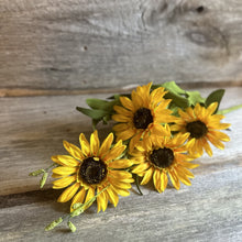 Load image into Gallery viewer, Sunflower Field Pick
