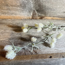 Load image into Gallery viewer, Thistle Floral Stems
