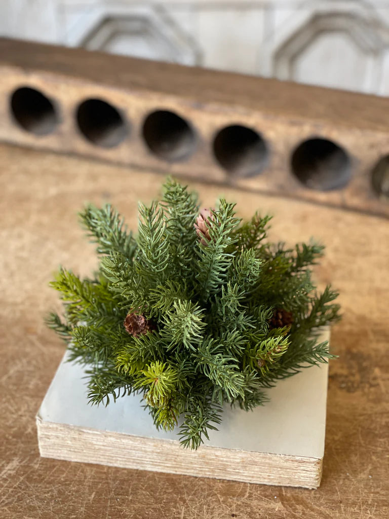 White Spruce with Pinecones Half Sphere