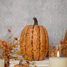 Load image into Gallery viewer, Terracotta Pumpkins
