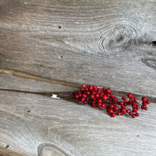 Load image into Gallery viewer, Weather Resistant Red Berries Pick
