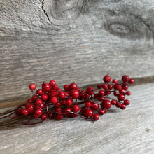 Load image into Gallery viewer, Weather Resistant Red Berries Pick
