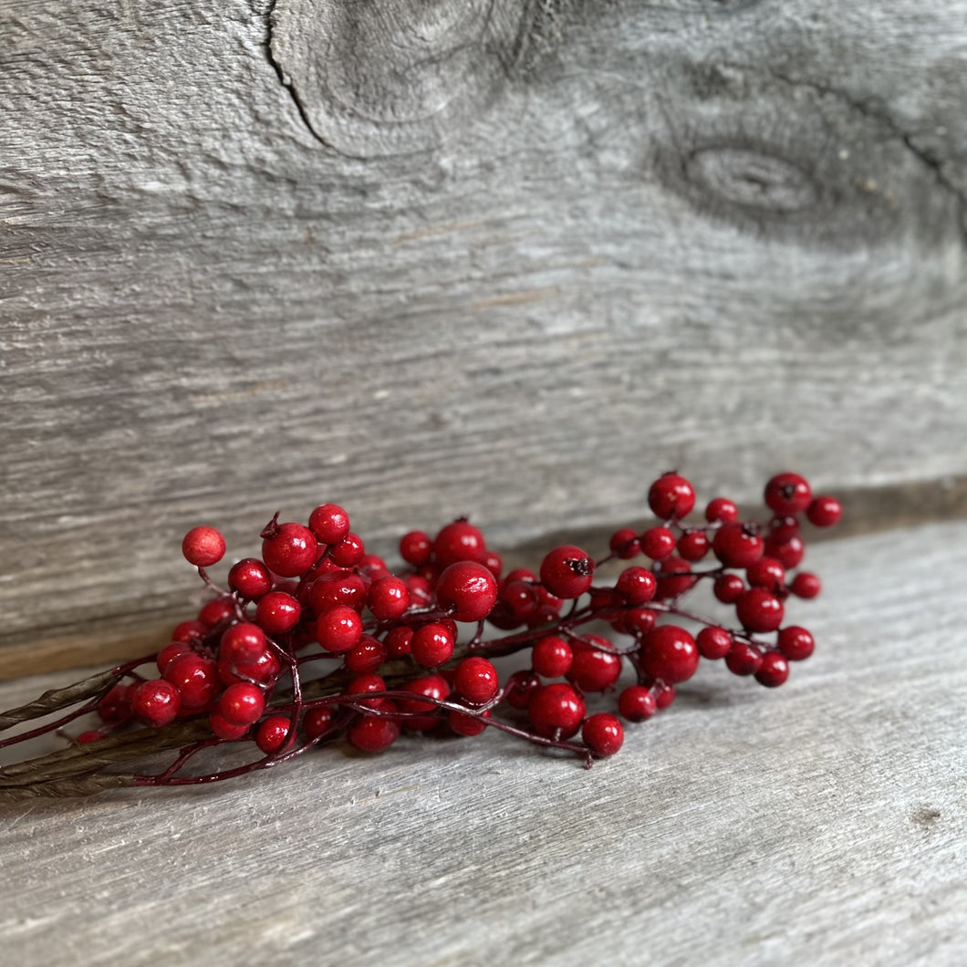 Weather Resistant Red Berries Pick