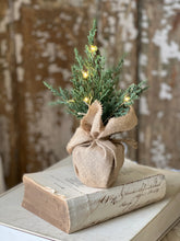 Load image into Gallery viewer, Starlit Cedar Tree - LED
