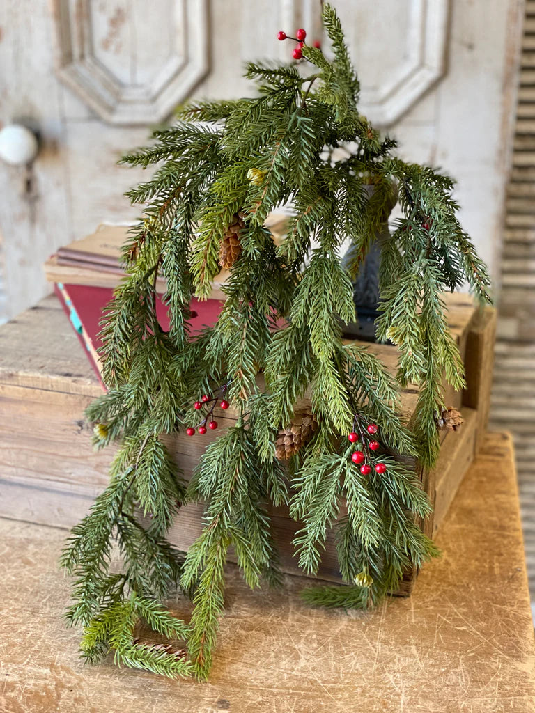 White Spruce with Berries Hanging Swag