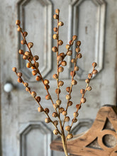Load image into Gallery viewer, 36&quot; Shawl Buds
