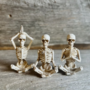 Yoga Skeleton Figures