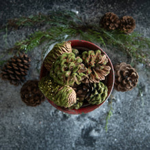 Load image into Gallery viewer, Pinecone, Moss &amp; Sequin Bowl Filler
