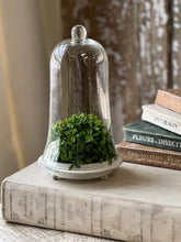 Load image into Gallery viewer, Cloches - Franklin and Arrington
