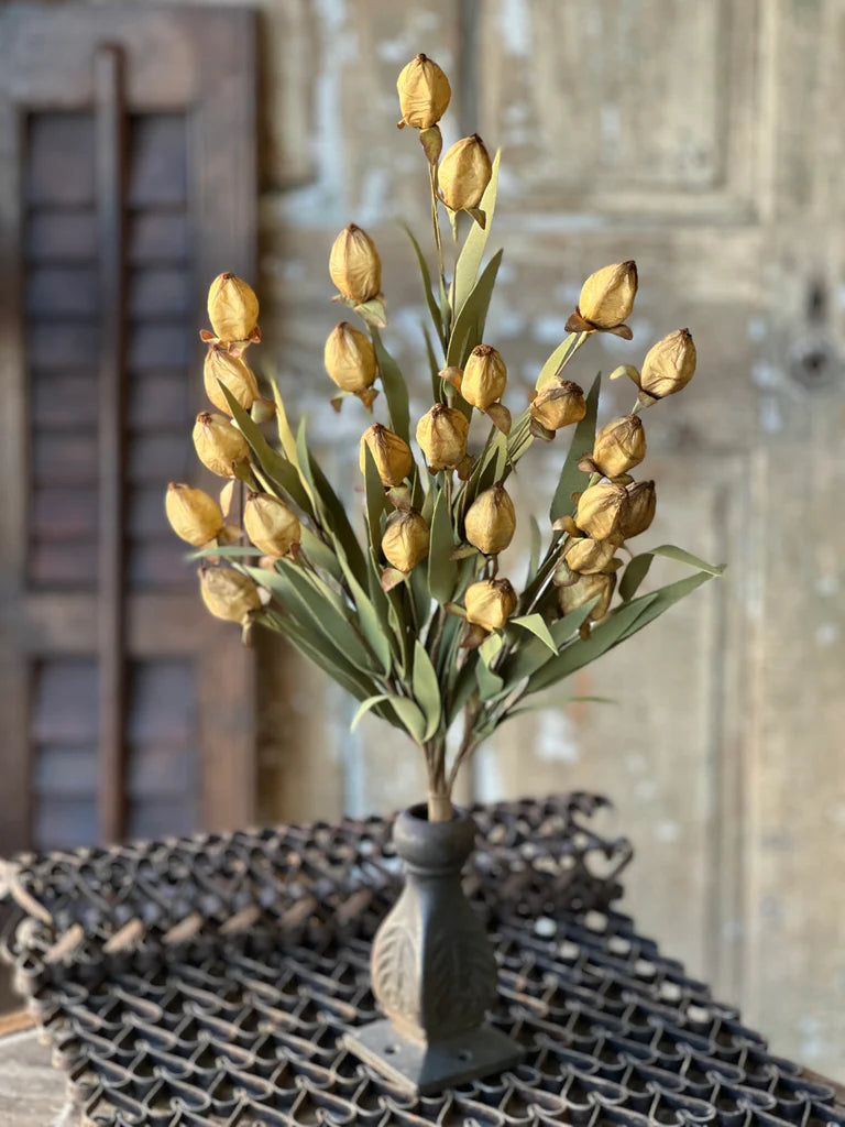 Lantern Beacon Buckskin Buds