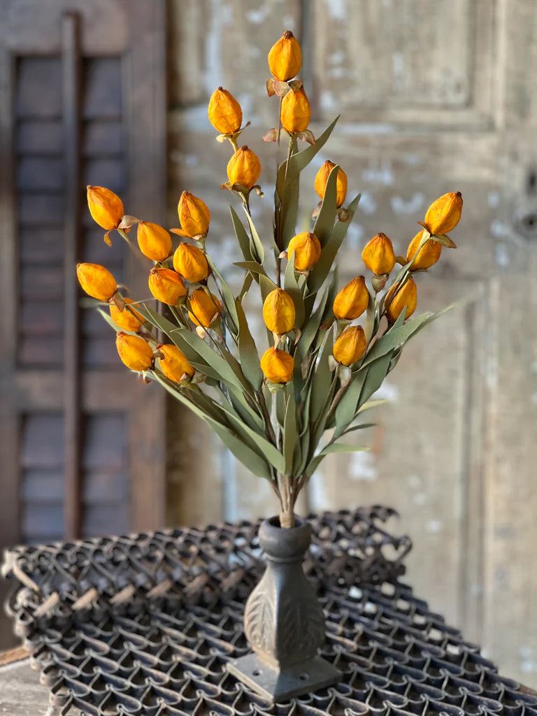 Lantern Beacon Saffron Buds