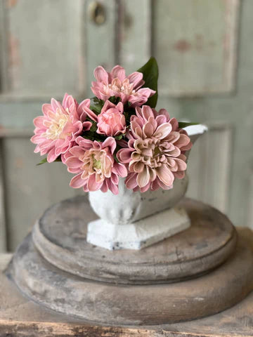 Matilda Dahlia Bundle