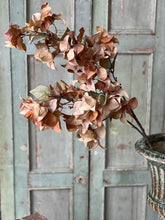 Load image into Gallery viewer, Bougainvillea Spray
