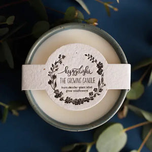 Willow, Wildflowers | Growing Candle