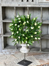 Load image into Gallery viewer, Teacup Tulip Candle Rings
