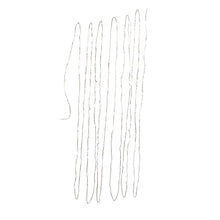 Load image into Gallery viewer, 16.3' Battery Operated 50L Warm White Fairy LED Silver Wire Light Set
