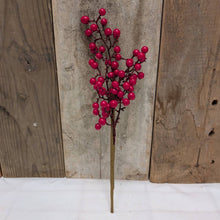 Load image into Gallery viewer, Red Berry Pick
