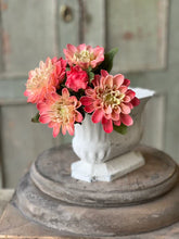 Load image into Gallery viewer, Matilda Dahlia Bundle
