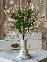 Load image into Gallery viewer, Billows Buds Bush
