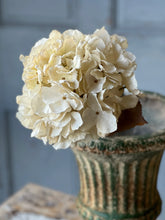 Load image into Gallery viewer, Empire Hydrangeas
