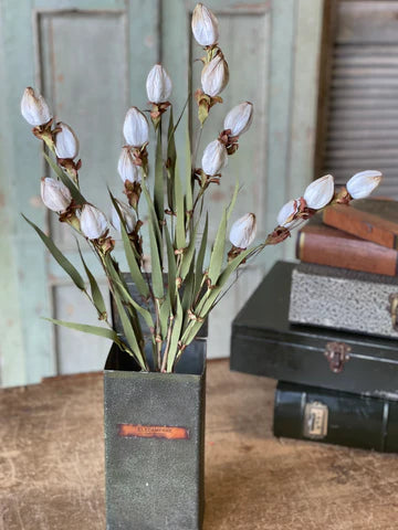 Lantern Cream Floral Buds