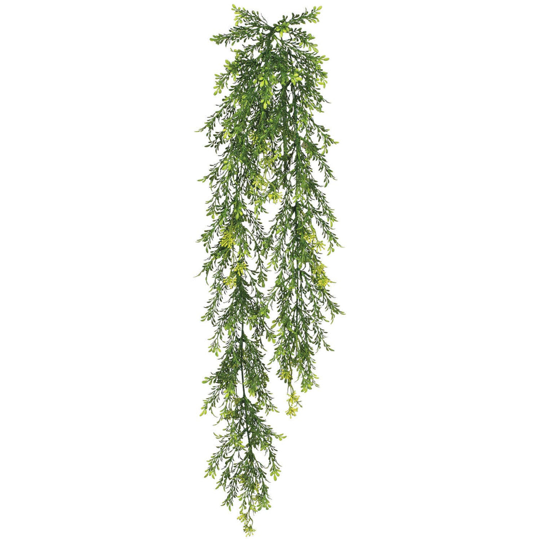 Tealeaf and Green Berry Vine