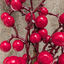 Load image into Gallery viewer, Red Berry Pick
