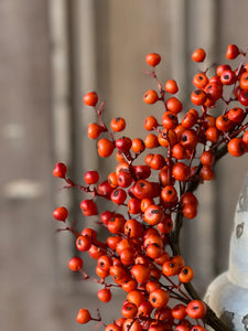 Emberfruit Collection