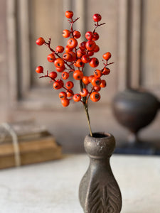 Emberfruit Collection